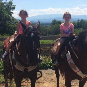 Meet your Posher, Michelle